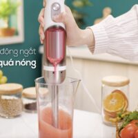 Máy xay cầm tay - FAST10.1 - 1000 W FB5317TL