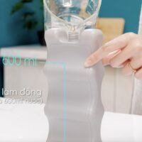 Đá khô (2 miếng) kèm túi zip- Frozen 2 - Fatzbaby FB0021VN