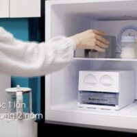 Đá khô (2 miếng) - Frozen 1 - Fatzbaby FB0020VN