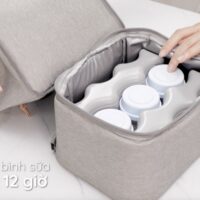 Đá khô (2 miếng) kèm túi zip- Frozen 2 - Fatzbaby FB0021VN