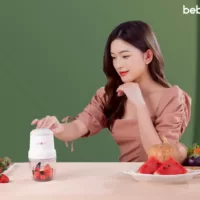 máy xay thức ăn cho bé fg01